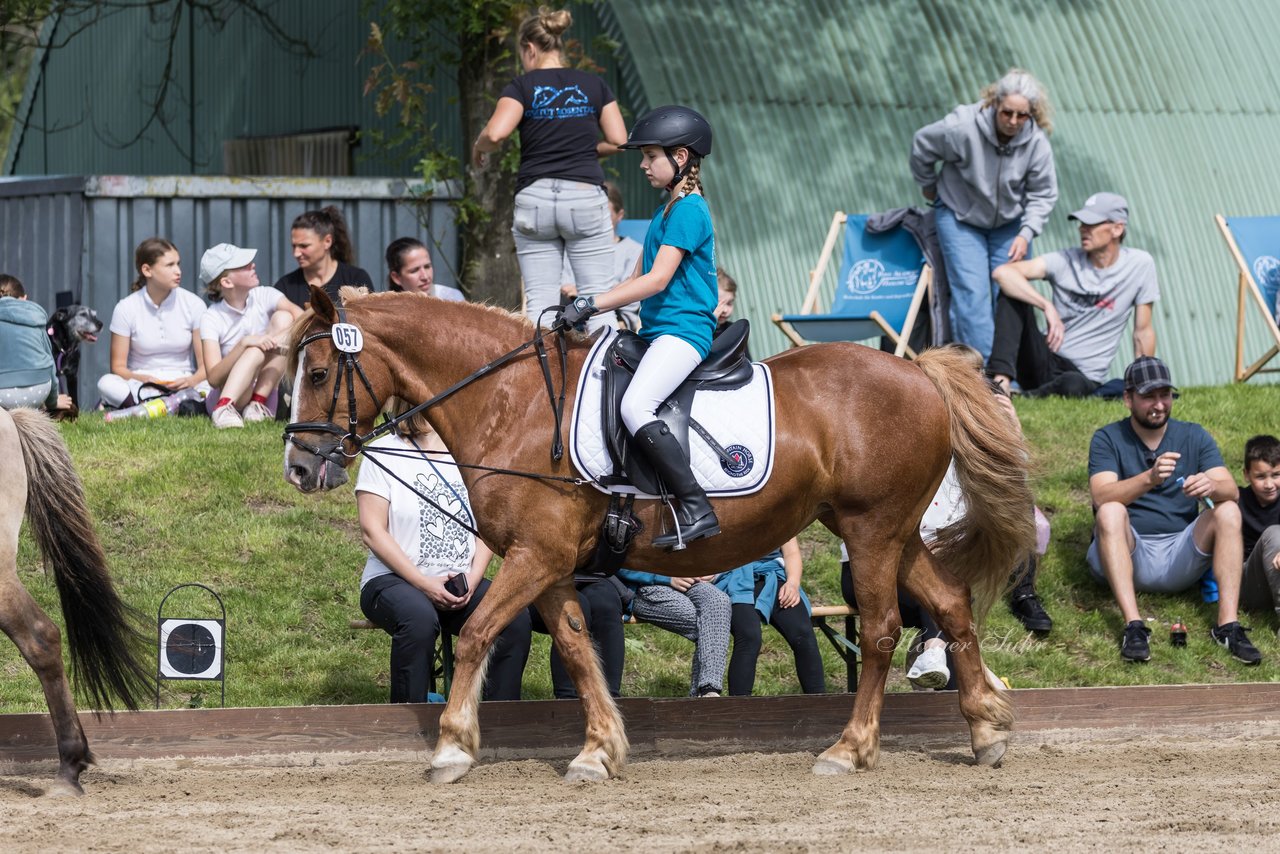 Bild 16 - Pony Akademie Turnier